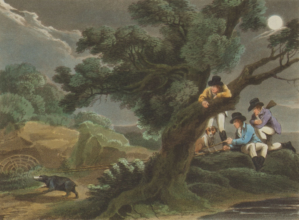 GERMANY. Catching the Badger using a net.  (Field Sports- Edward Orme)  1814